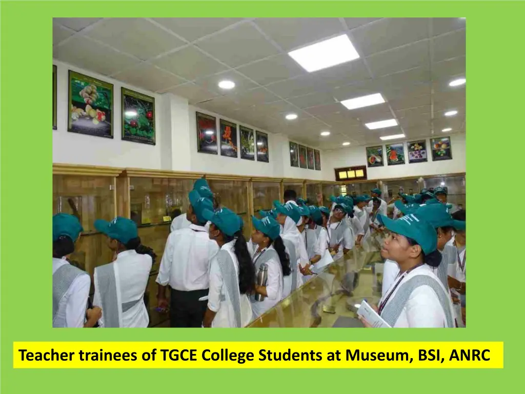 teacher trainees of tgce college students