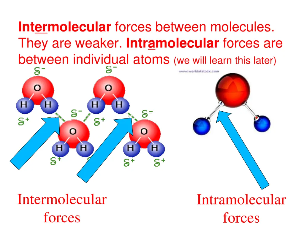 intermolecular forces between molecules they