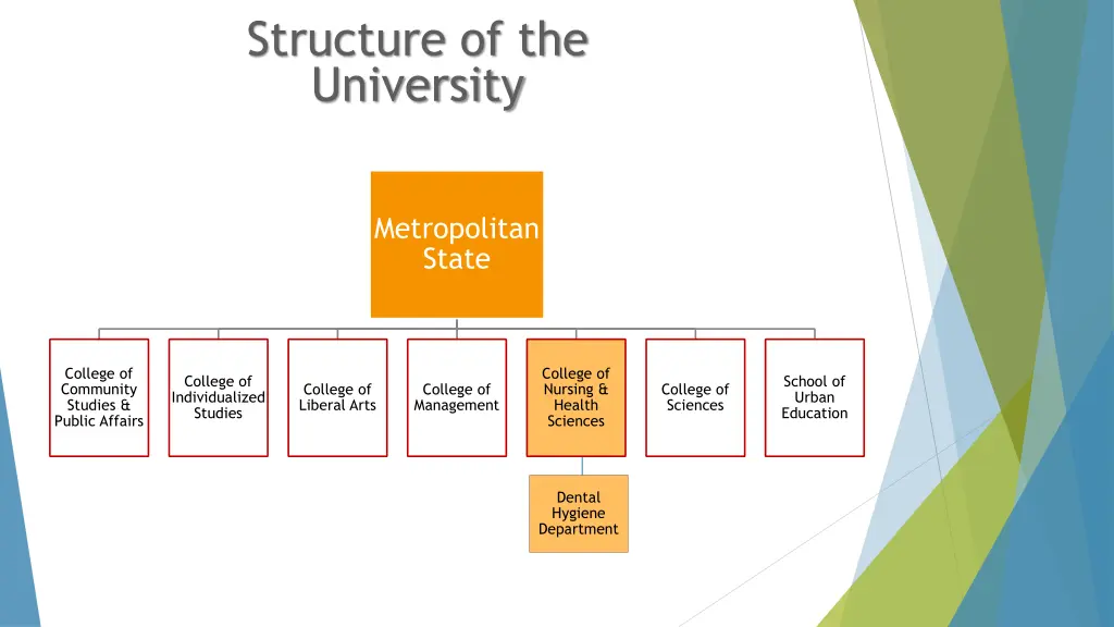 structure of the university