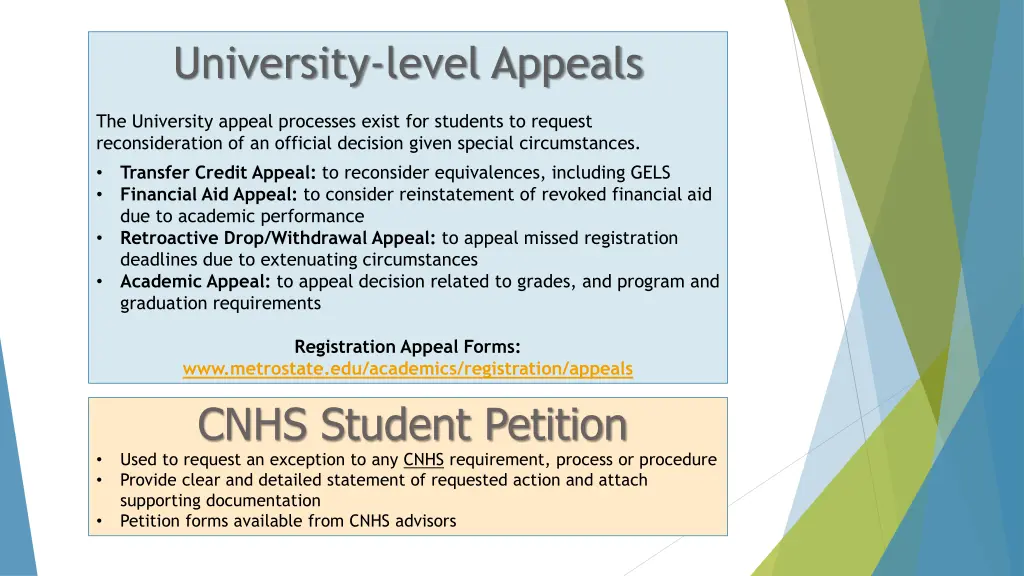 university level appeals