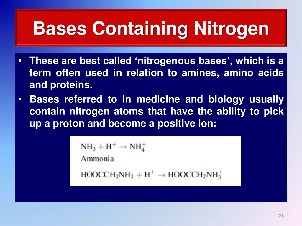 bases containing nitrogen