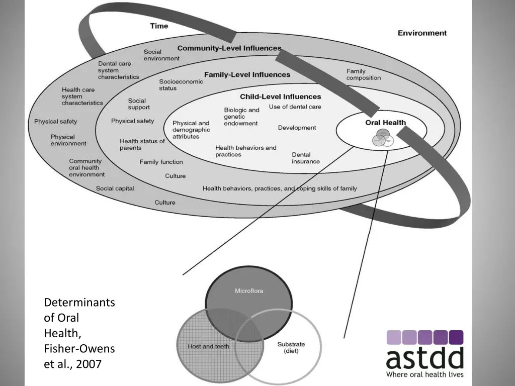 determinants of oral health fisher owens