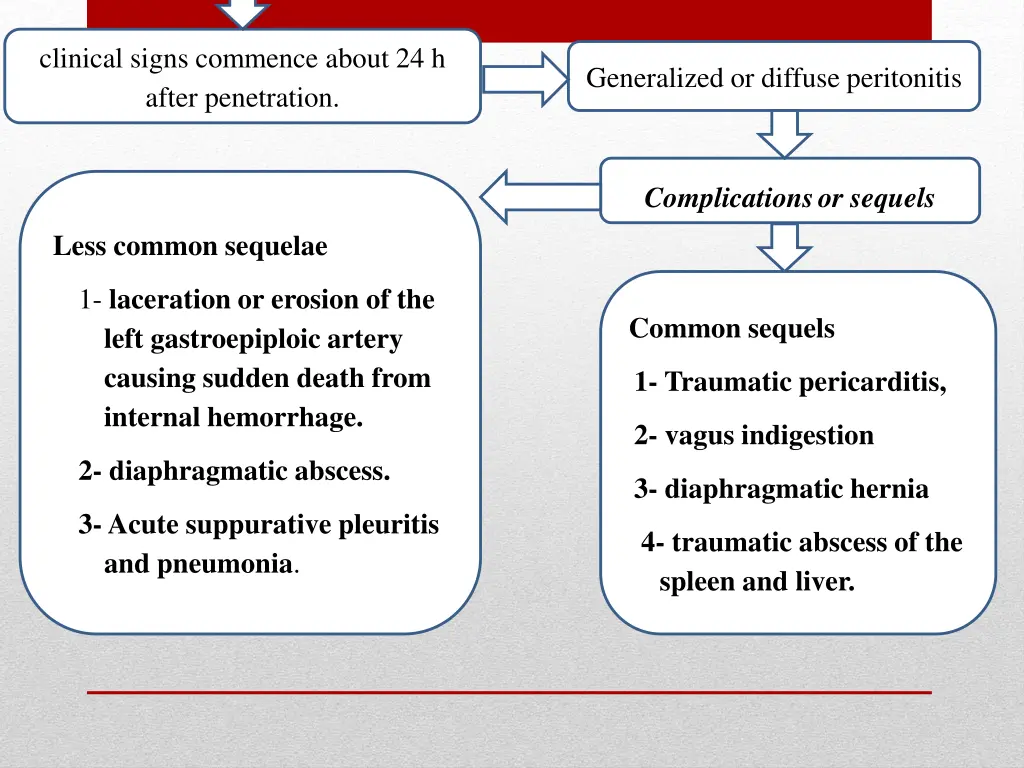 clinical signs commence about 24 h after