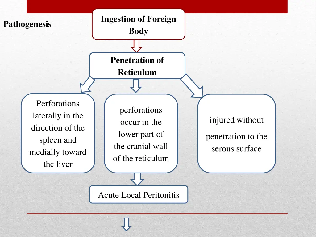 ingestion of foreign body