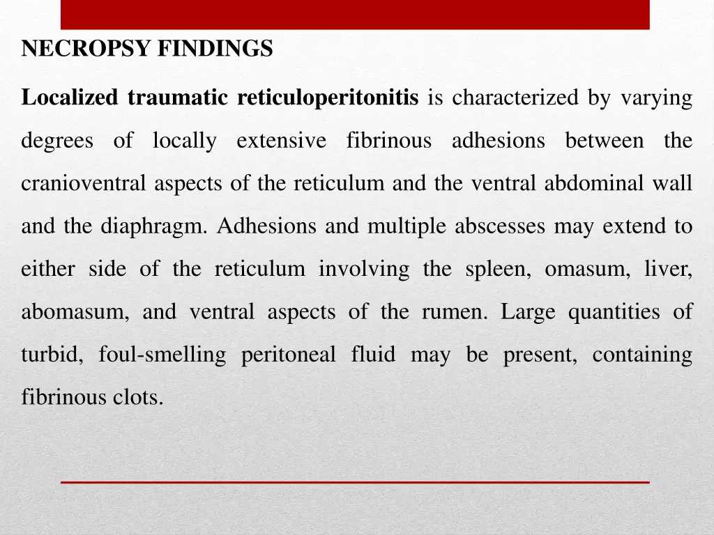 necropsy findings