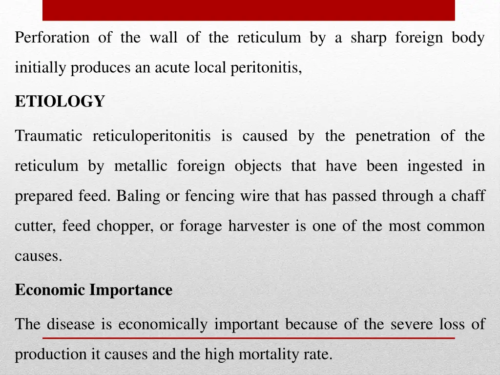 perforation of the wall of the reticulum