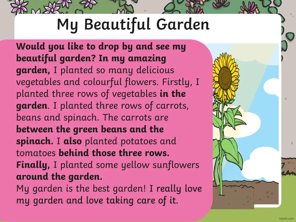 my beautiful garden