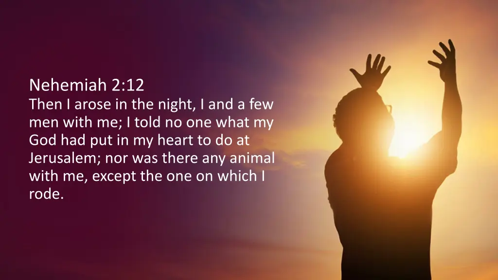 nehemiah 2 12 then i arose in the night