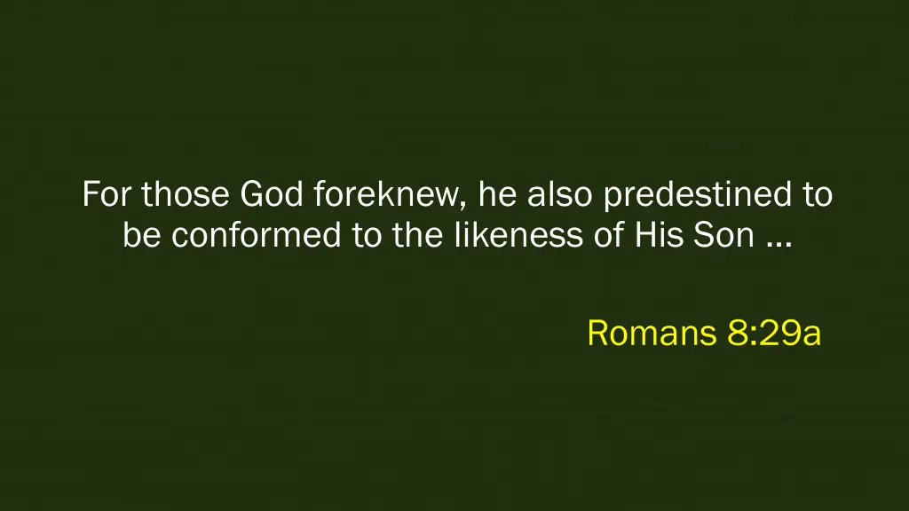 for those god foreknew he also predestined