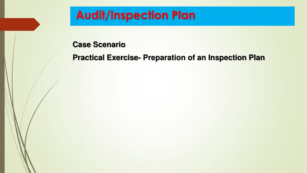 audit inspection plan