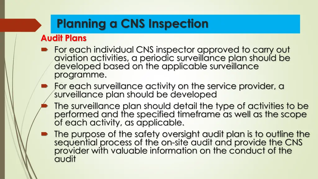 planning a cns inspection audit plans for each