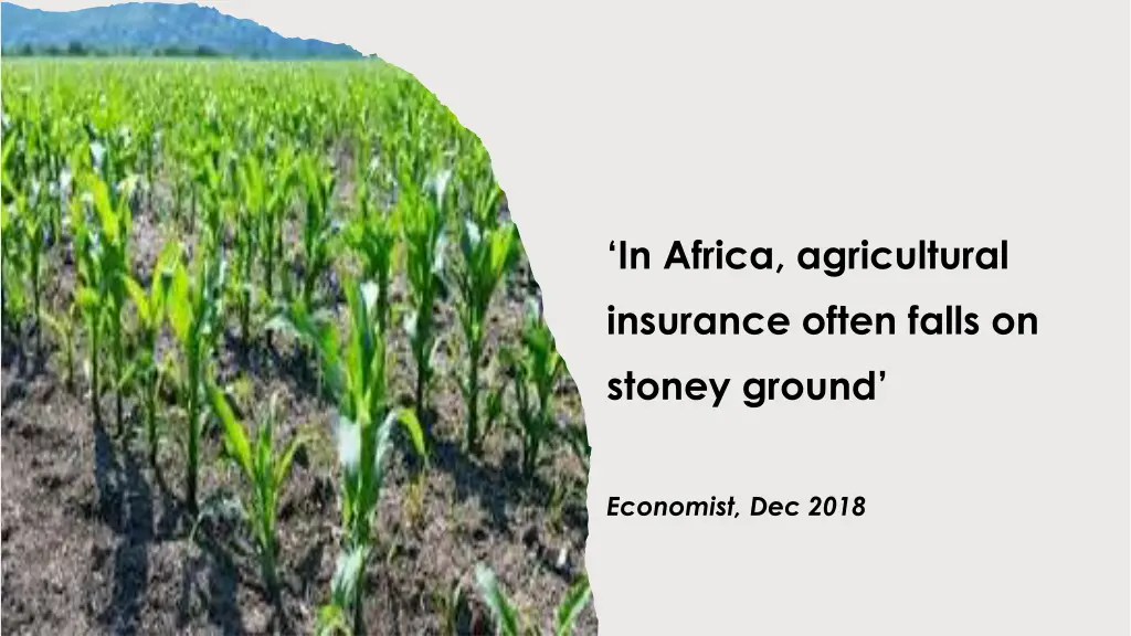 in africa agricultural insurance often falls