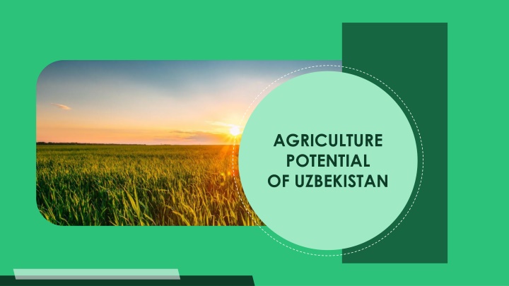 agriculture potential of uzbekistan