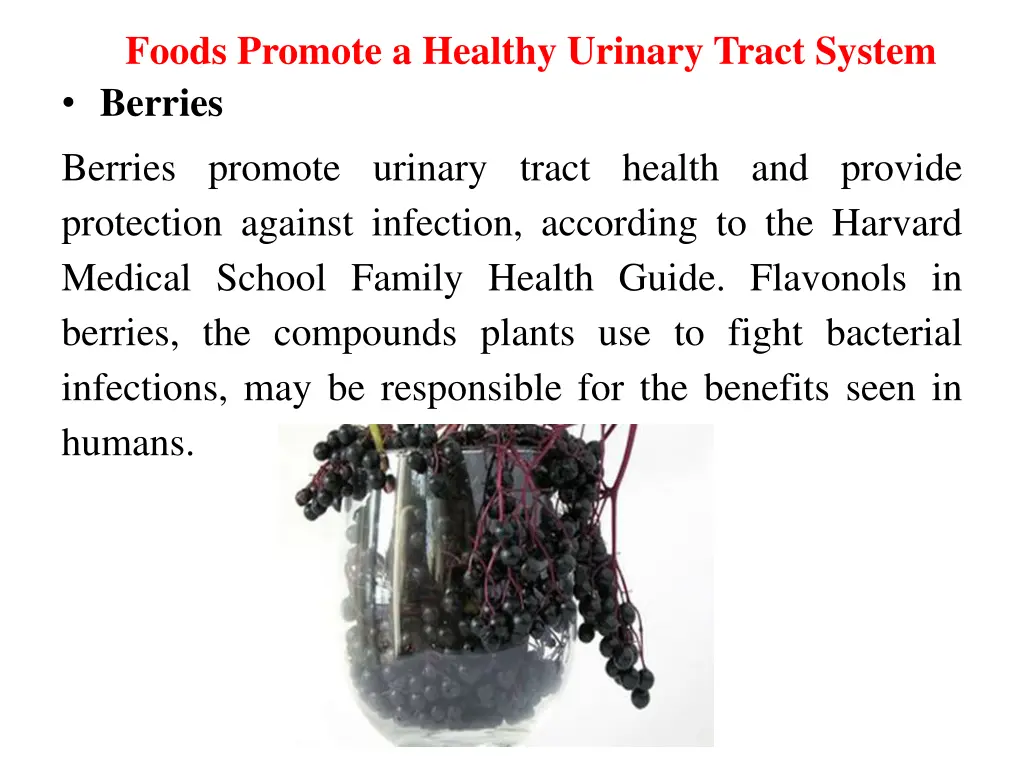 foods promote a healthy urinary tract system