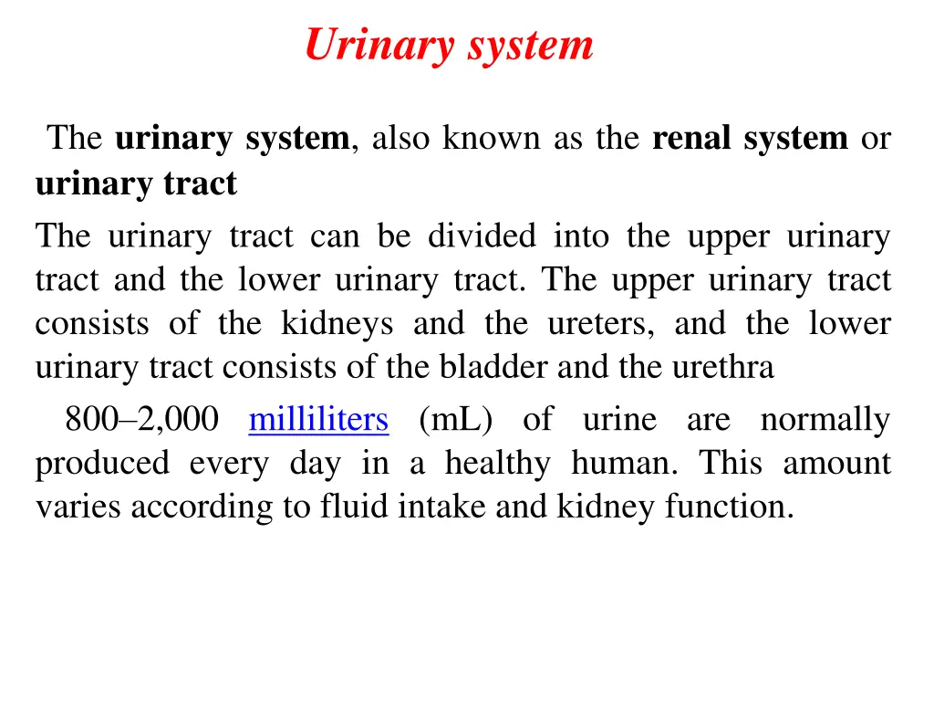 urinary system