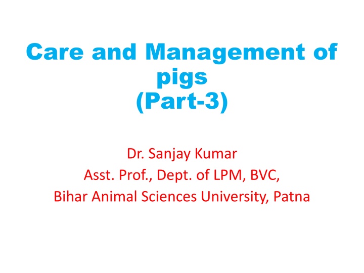 care and management of pigs part 3