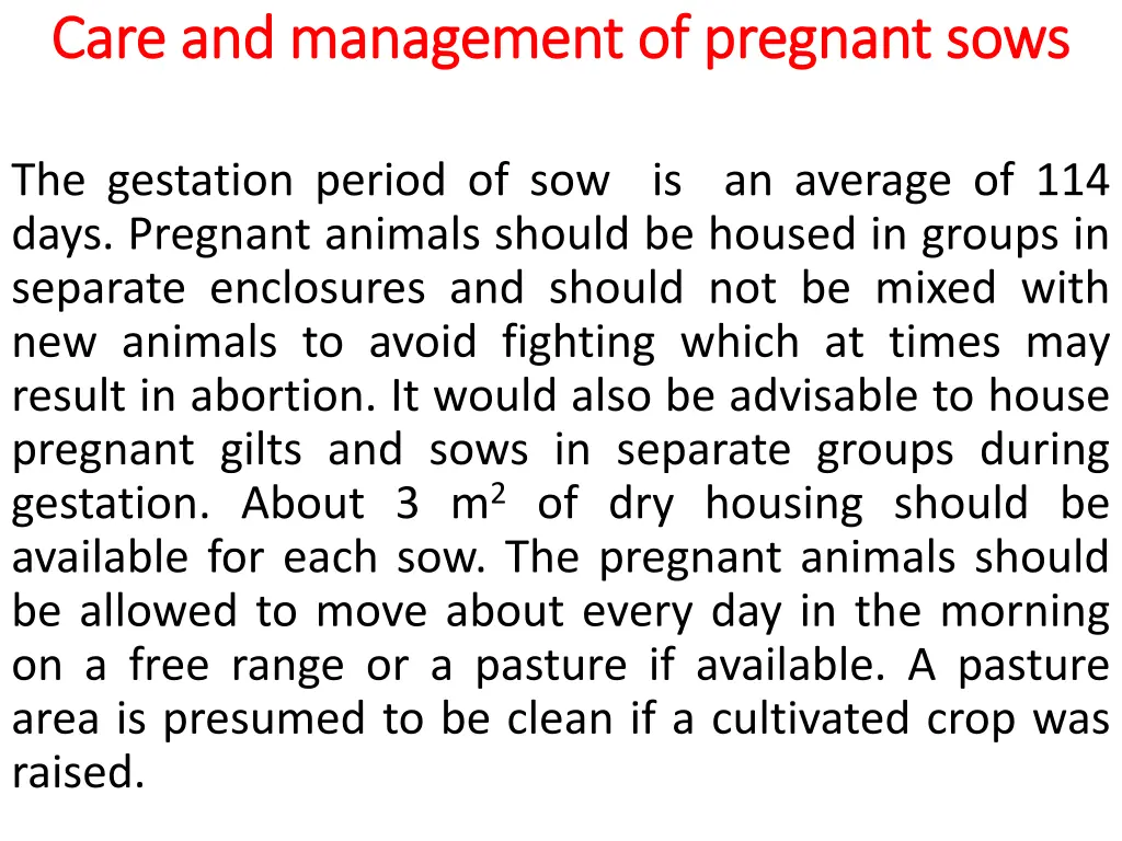 care and management of pregnant sows care