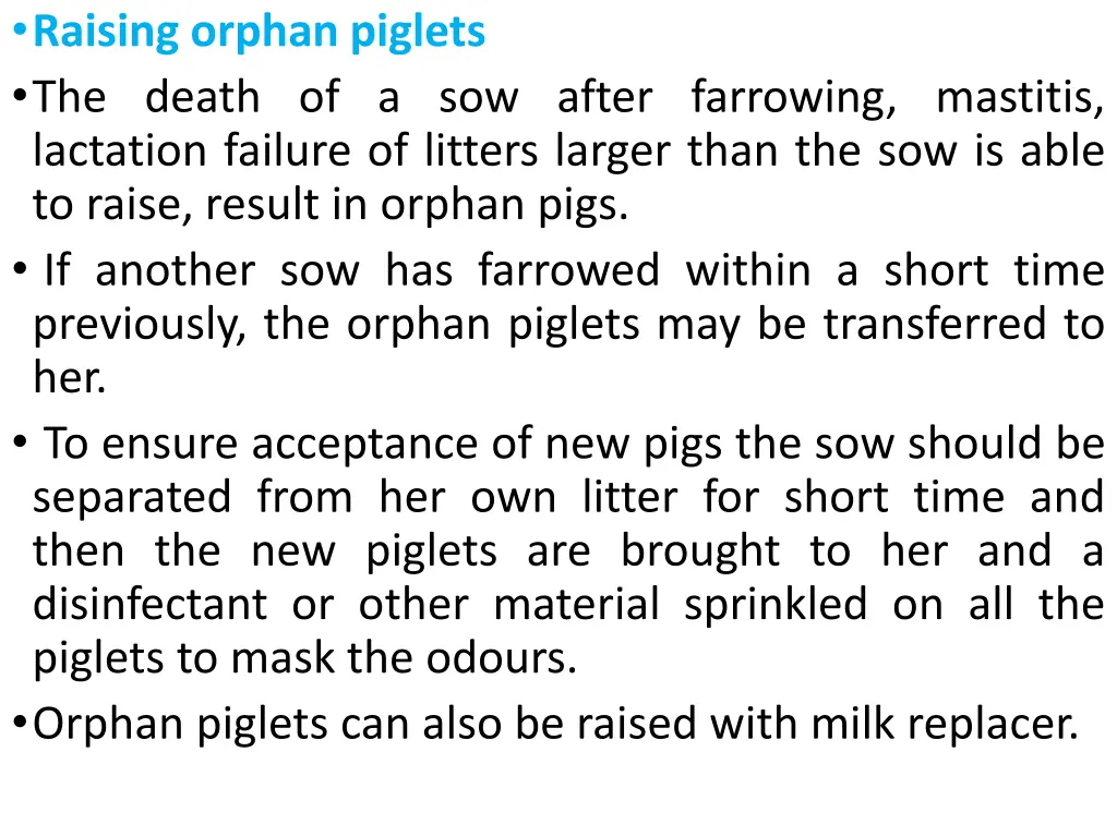 raising orphan piglets the death of a sow after