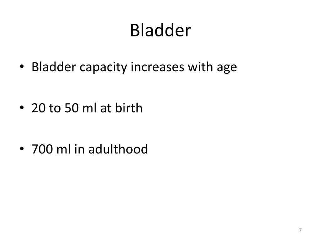 bladder