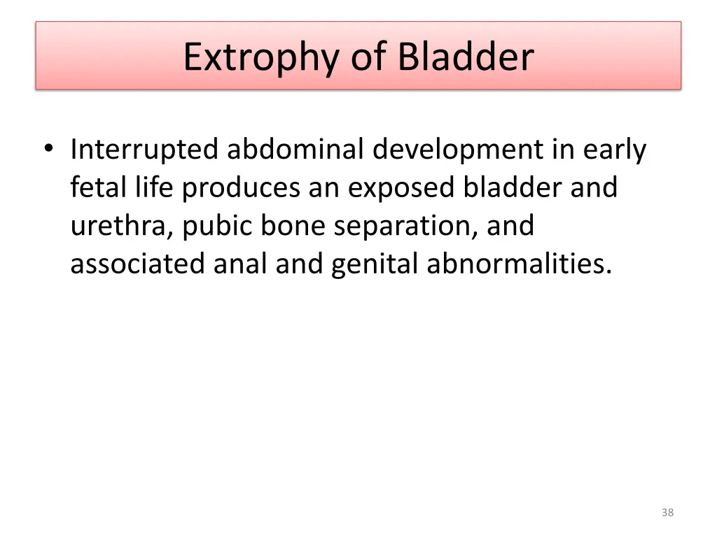 extrophy of bladder