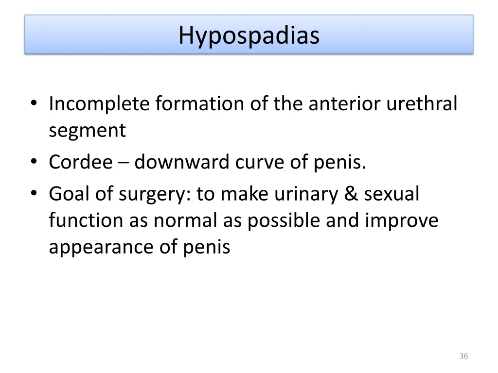 hypospadias 1