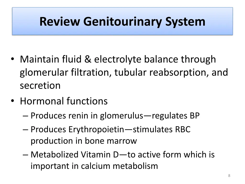 review genitourinary system