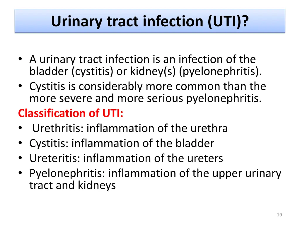 urinary tract infection uti