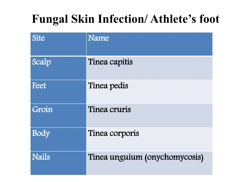 fungal skin infection athlete s foot