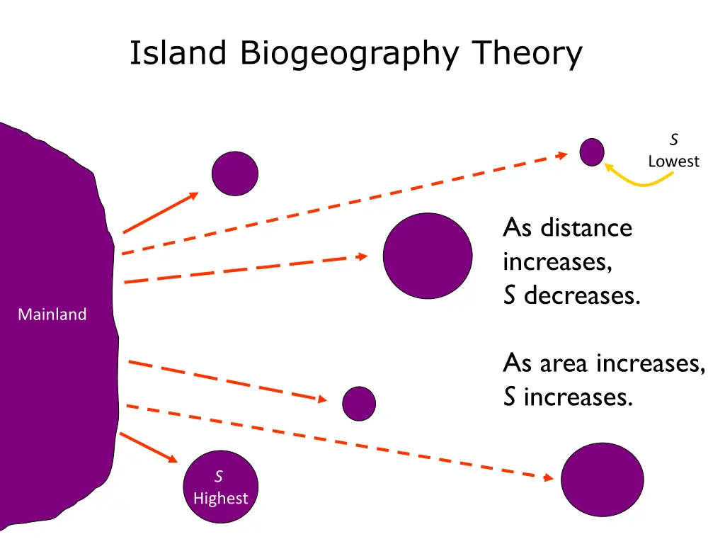 island biogeography theory