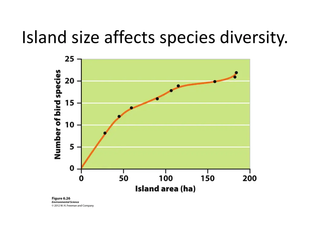 island size affects species diversity