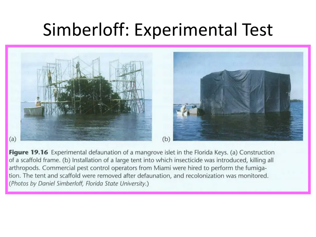 simberloff experimental test