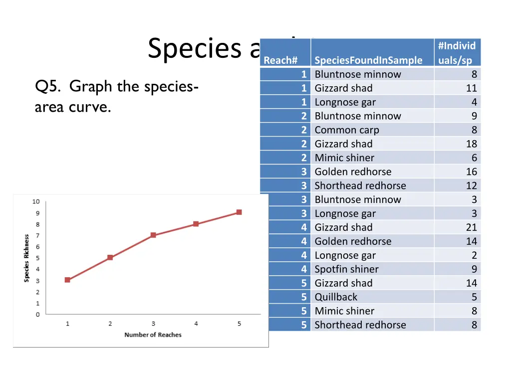 species and area 3