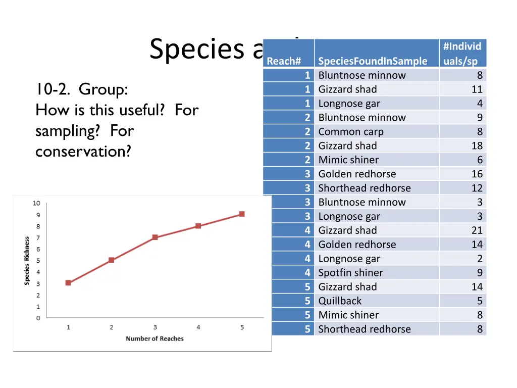 species and area 4