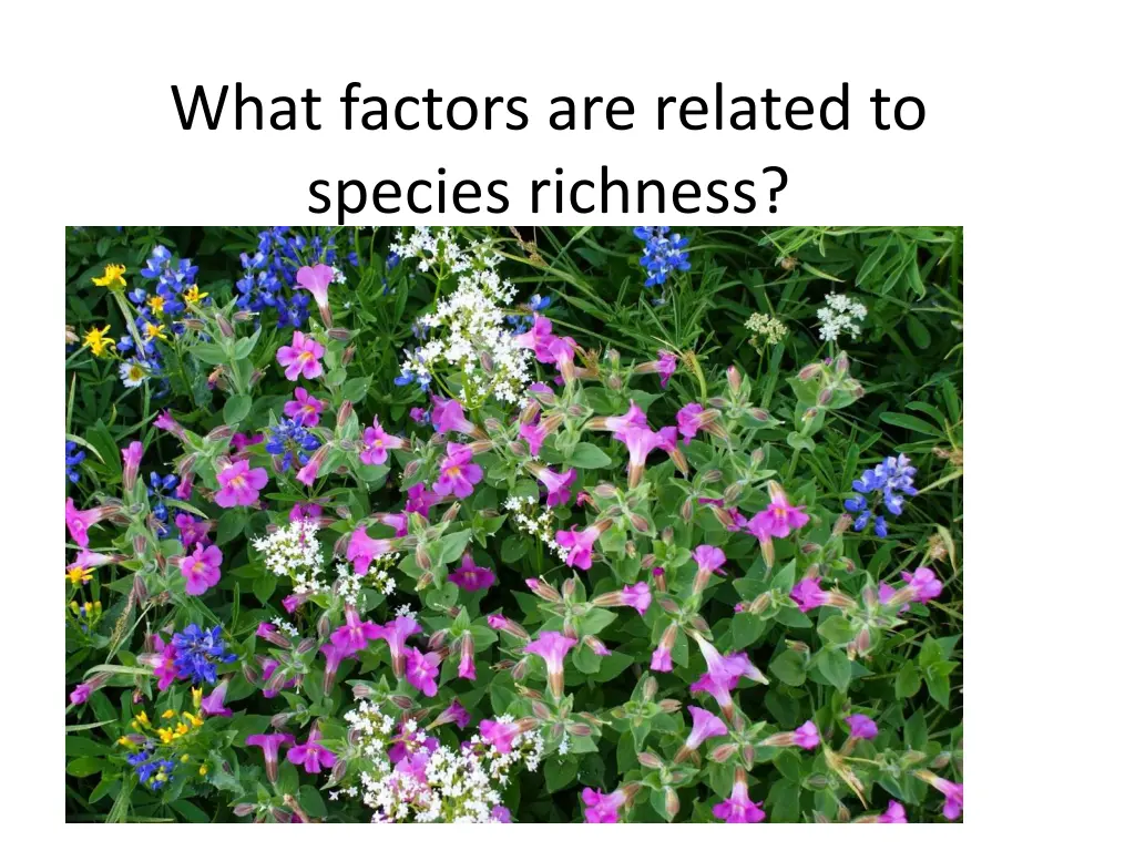 what factors are related to species richness