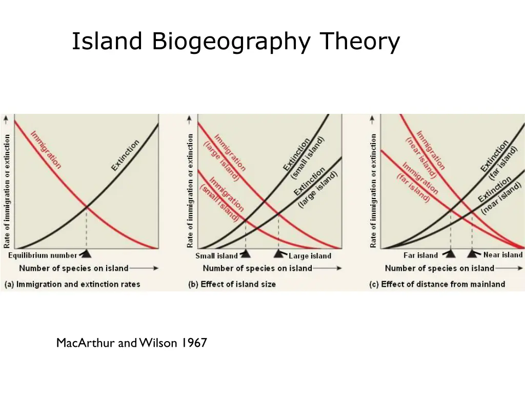 island biogeography theory 5