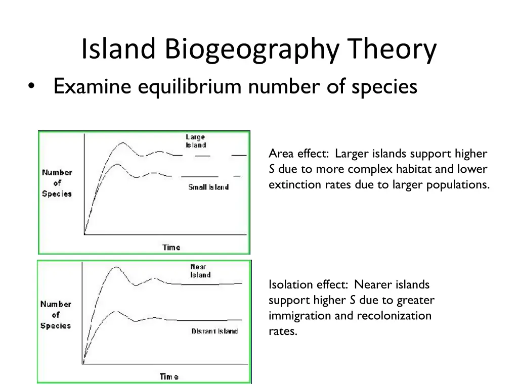 island biogeography theory examine equilibrium