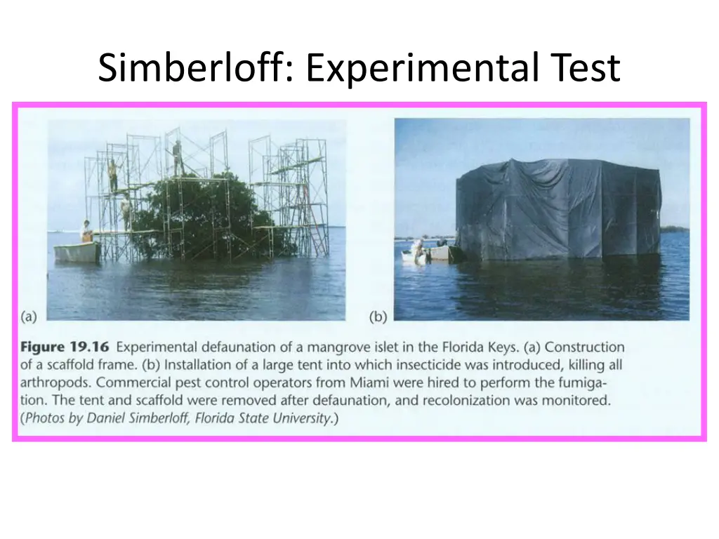 simberloff experimental test