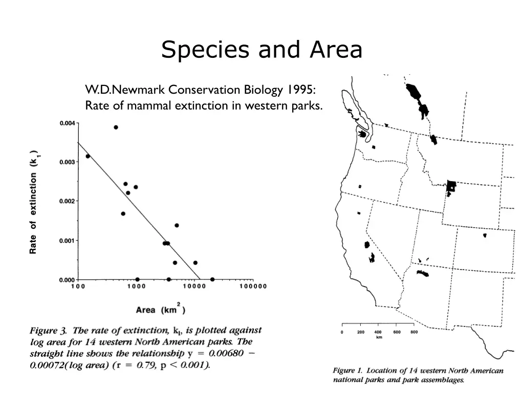 species and area