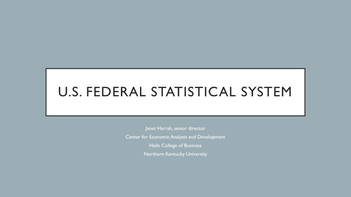 u s federal statistical system