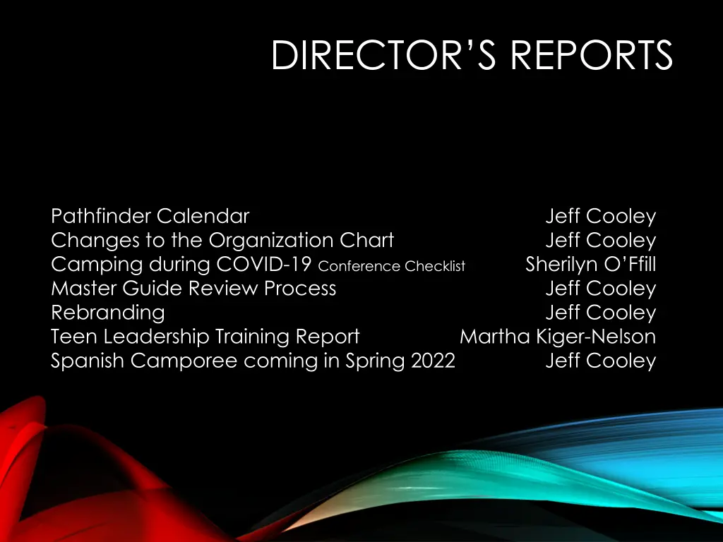 director s reports