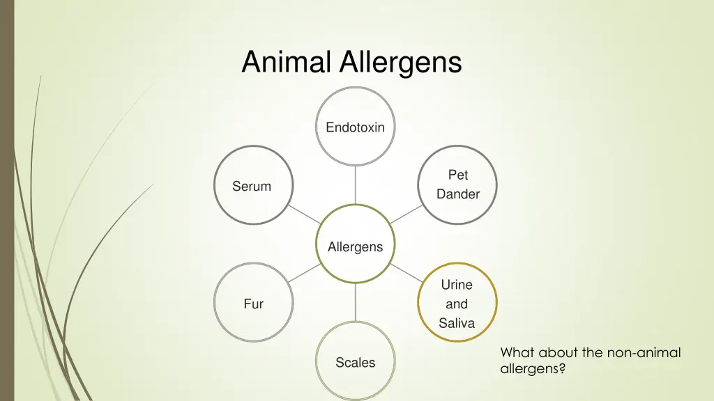 animal allergens