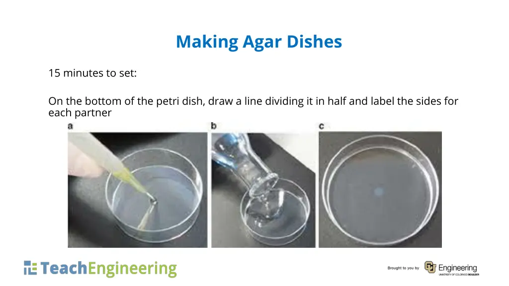 making agar dishes