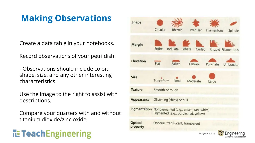 making observations