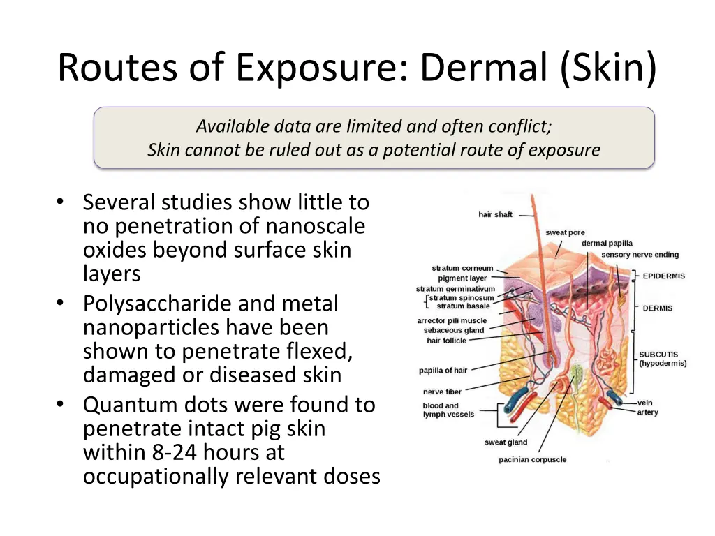 routes of exposure dermal skin