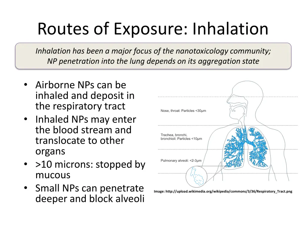 routes of exposure inhalation