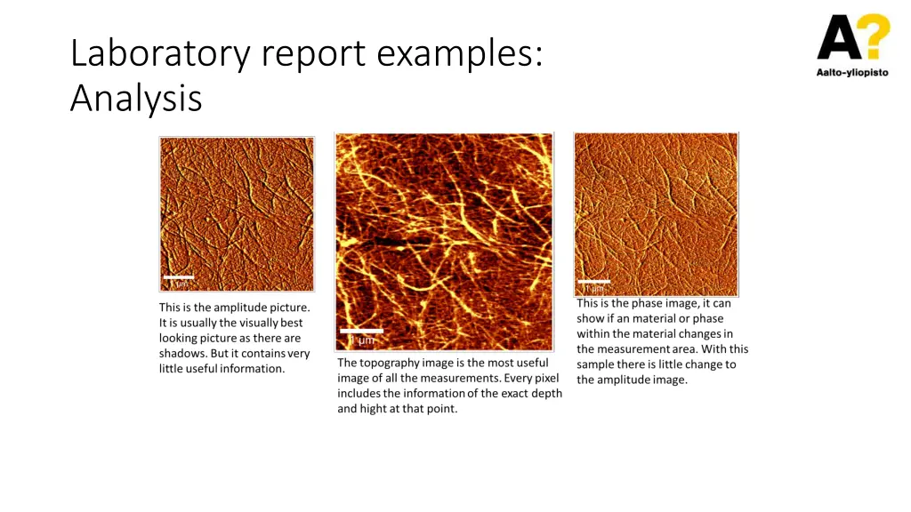 laboratory report examples analysis