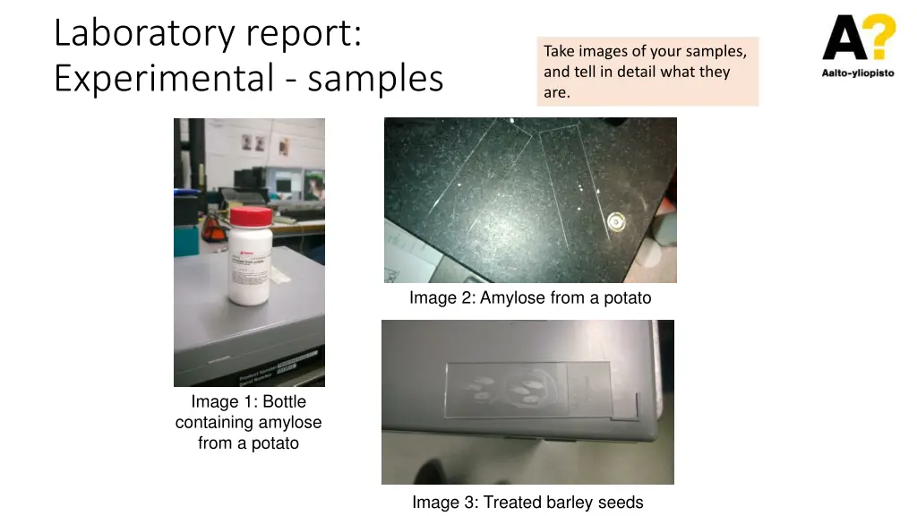 laboratory report experimental samples