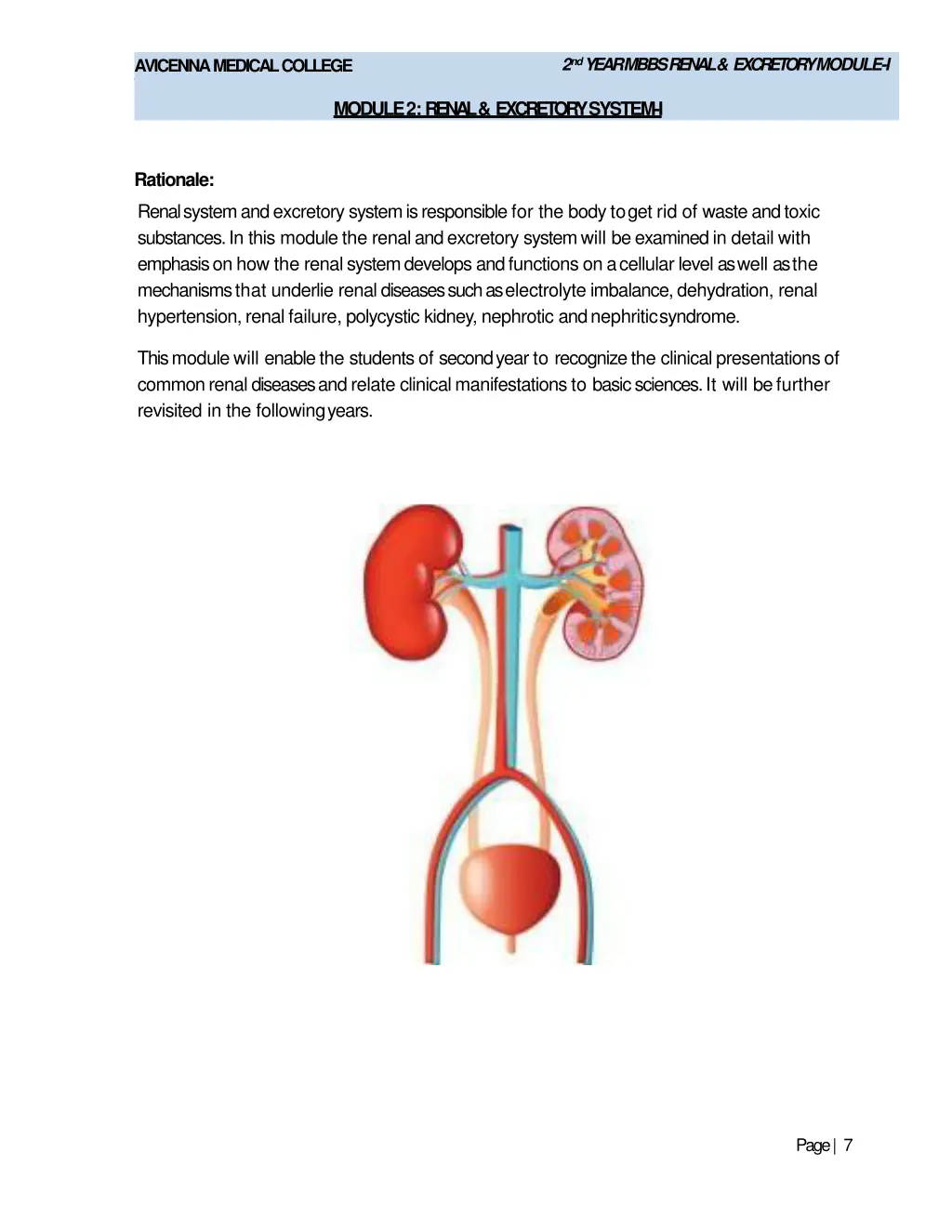 2 nd year mbbs renal excretorymodule i 5