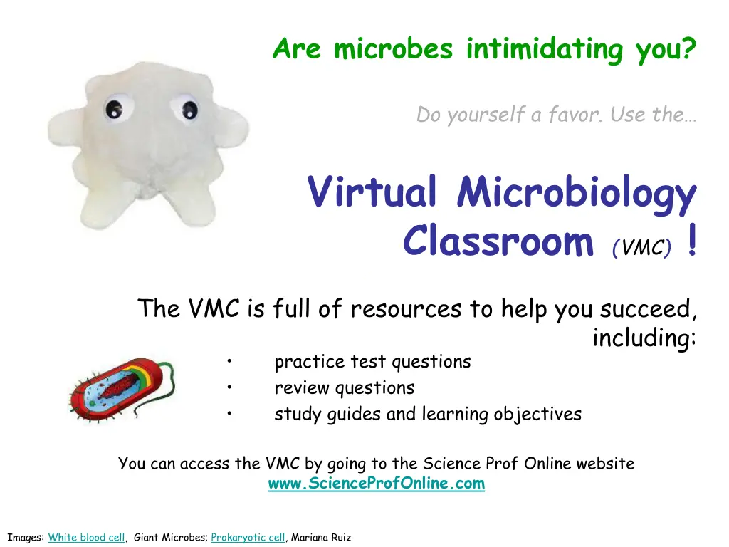 are microbes intimidating you