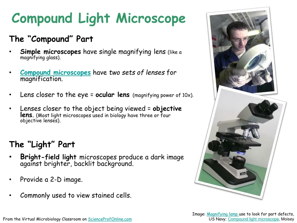 compound light microscope